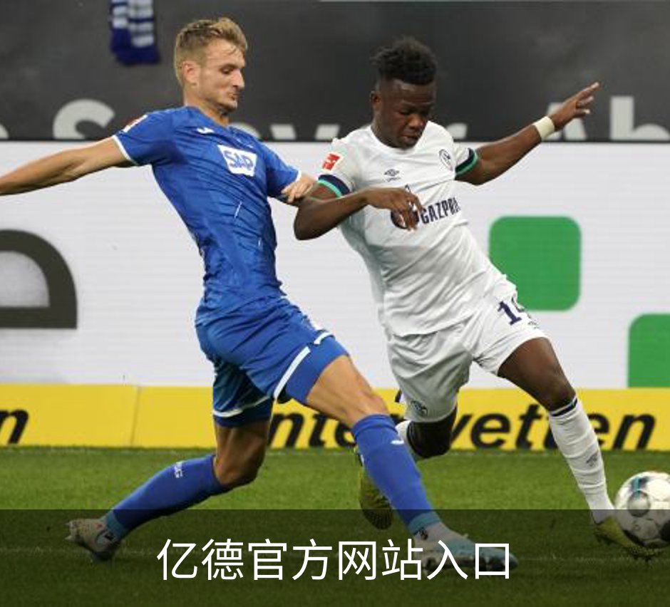 亿德官方网站入口品牌故事